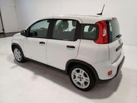 Usata Fiat Panda City Life 69 CV (50 kW) 2024 Bianco Utilitaria