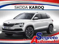 Nouă Skoda Karoq Selection 116 CP (85 kW) 2026 Other SUV