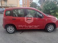 usata Fiat Panda 1.2 Easy