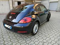 usata VW Maggiolino 1.6 tdi