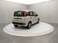 Usata Fiat Panda Easy 69 CV (50 kW) 2016 Beige Utilitaria