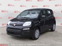 Nuova Fiat Panda Icon 69 CV (50 kW) 2025 Nero Utilitaria