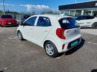 usata Kia Picanto 1.0 12V 5 porte Urban