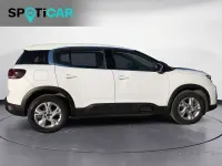 Usata Citroën C5 Aircross Live 131 CV (96 kW) 2022 Bianco SUV