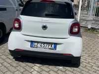 Usata Smart ForFour Prime 90 CV (66 kW) 2019 Bianco Utilitaria