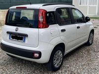 Usata Fiat Panda Trekking 95 CV (69 kW) 2017 Utilitaria