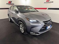 Usata Lexus NX300 Luxury Line 155 CV (114 kW) 2017 Grigio SUV