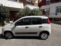 Usata Fiat Panda Young 69 CV (50 kW) 2016 Utilitaria