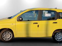 Nuova Fiat Panda Icon 69 CV (50 kW) 2025 Giallo Utilitaria