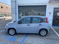 Usata Fiat Panda Easy 69 CV (50 kW) 2021 Grigio Utilitaria