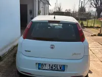 Usata Fiat Grande Punto Active 77 CV (56 kW) 2008 Bianco Utilitaria