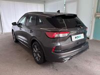 Usata Ford Kuga ST-Line X 150 CV (110 kW) 2021 Grigio SUV