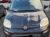 Usata Fiat Panda S 69 CV (50 kW) 2024 Nero Utilitaria