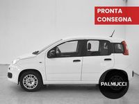 Usata Fiat Panda Easy 69 CV (50 kW) 2020 Utilitaria