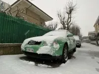Usata Audi A3 Ambiente 125 CV (91 kW) 1998 Verde Utilitaria