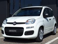 Nuova Fiat Panda Icon 65 CV (47 kW) 2026 Bianco Utilitaria