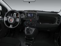 usata Fiat Panda Cross 3ª serie 1.0 FireFly S&S Hybrid City