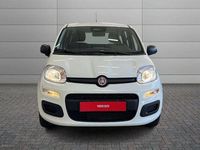 Nuova Fiat Panda Pop 69 CV (50 kW) 2026 Bianco Utilitaria