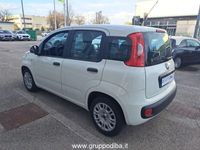 usata Fiat Panda Panda1.2 Easy 69cv