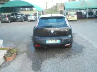 Usata Fiat Punto Evo Active 95 CV (69 kW) 2012 Nero Utilitaria