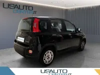 Usata Fiat Panda S 70 CV (51 kW) 2022 Utilitaria