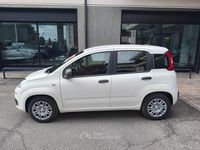 Nuova Fiat Panda Icon 71 CV (52 kW) 2026 Bianco Utilitaria