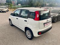 Usata Fiat Panda Easy 69 CV (50 kW) 2019 Bianco Utilitaria
