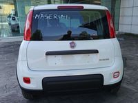 usata Fiat Panda 1.0 Hybrid 70 CV