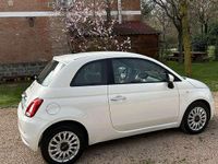 Usata Fiat 500C Pop 69 CV (50 kW) 2021 Cabrio
