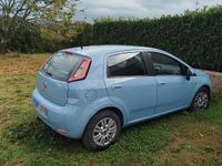 Usata Fiat Punto Evo 75 CV (55 kW) 2014 Utilitaria