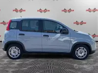 Usata Fiat Panda 70 CV (51 kW) 2023 Grigio Utilitaria