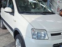 Usata Fiat Panda 4x4 Climbing 75 CV (55 kW) 2011 Bianco Utilitaria