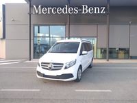 usata Mercedes 220 Marco Polo Horizond