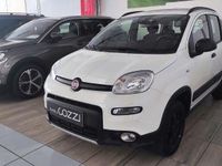 Usata Fiat Panda 4x4 Wild 85 CV (62 kW) 2022 Bianco Utilitaria