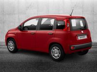 Usata Fiat Panda S 69 CV (50 kW) 2024 Rosso Utilitaria