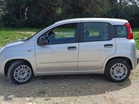 usata Fiat Panda Panda 1.2 Easy