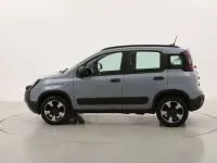 Usata Fiat Panda Cross Cross 71 CV (52 kW) 2022 Grigio Utilitaria