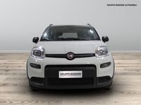 usata Fiat Panda 1.0 firefly hybrid 70cv city life