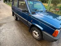 Usata Fiat Panda 4x4 54 CV (39 kW) 2001 Bluazzurro Utilitaria