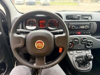 Usata Fiat Panda S 69 CV (50 kW) 2021 Grigio Utilitaria