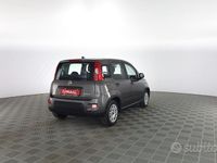 Usata Fiat Panda S 69 CV (50 kW) 2023 Grigio Utilitaria
