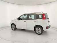 usata Fiat Panda 1.2 Pop