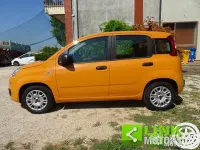 Usata Fiat Panda Easy 69 CV (50 kW) 2019 Arancione Utilitaria