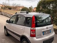 Usata Fiat Panda 4x4 69 CV (50 kW) 2010 Grigio Utilitaria