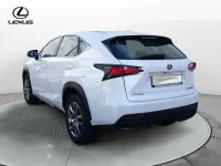 Usata Lexus NX300h Executive Line 197 CV (144 kW) 2017 Bianco SUV