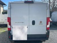 usata Fiat Ducato 