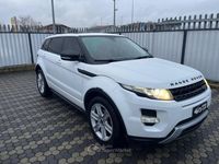 Usata Land Rover Range Rover evoque Dynamic 190 CV (139 kW) 2013 Bianco SUV