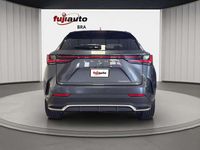 Nuova Lexus NX350h Sport Line 190 CV (139 kW) 2026 Dark grey met SUV