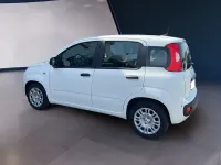 Usata Fiat Panda 69 CV (50 kW) 2025 Bianco Utilitaria