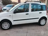 Usata Fiat Panda 77 CV (56 kW) 2012 Utilitaria
